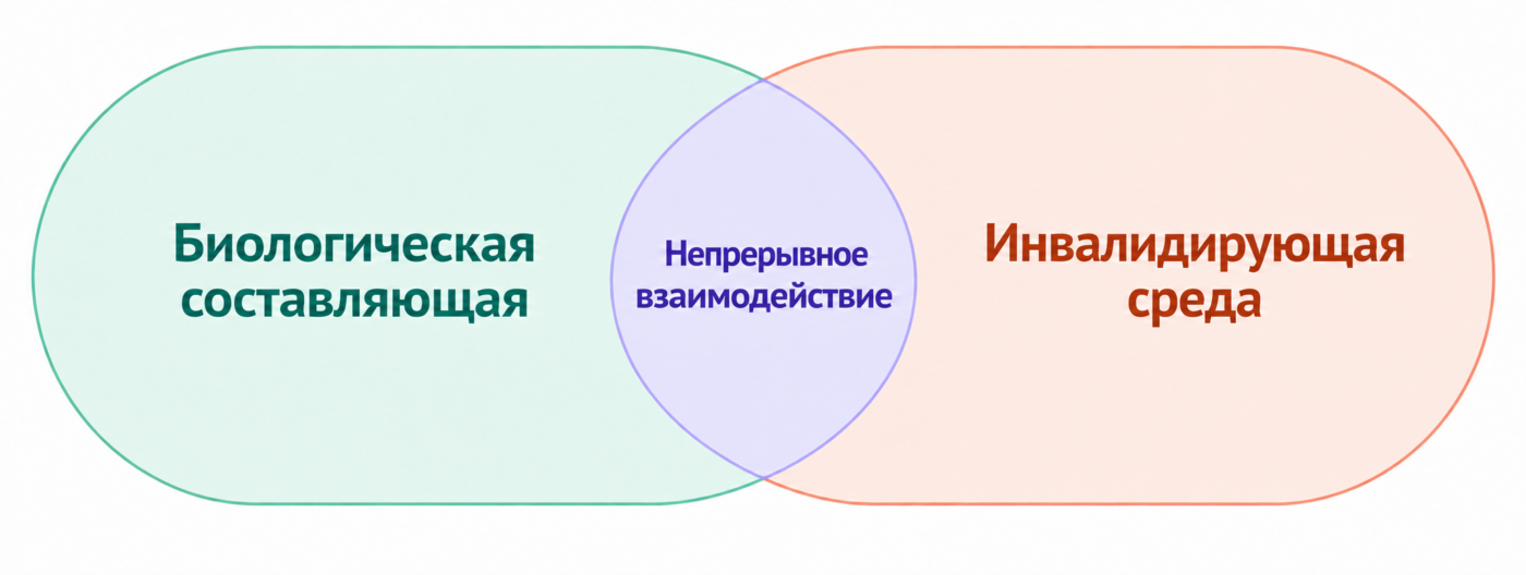 Биосоциальная модель ДПТ: непрерывное взаимодействие биологической составляющей и инвалидирующей среды