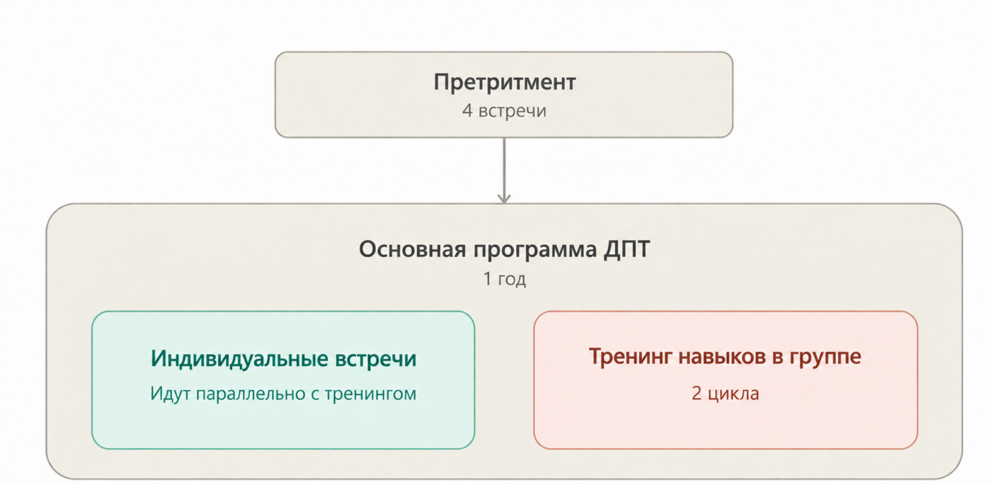 Организация программы ДПТ: претритмент, индивидуальные встречи и два цикла тренинга навыков